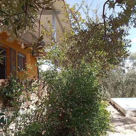 Dos Cipreses Holiday home Ventorros de la Laguna