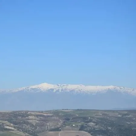 Dos Cipreses *