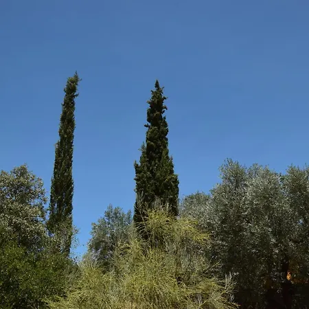 Holiday home Dos Cipreses *