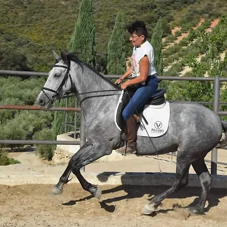 Dos Cipreses Holiday home *