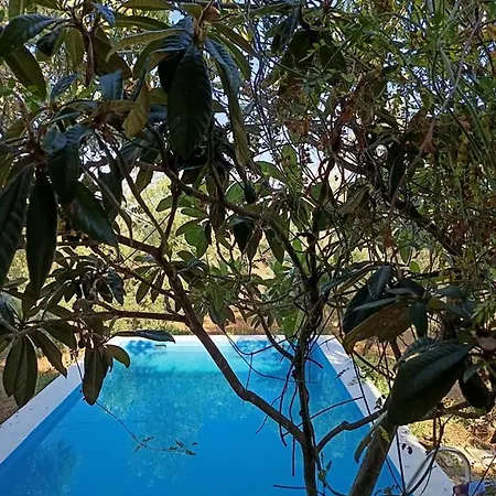 Holiday home Dos Cipreses